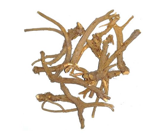 生薬サイコ/Bupleuri Radix