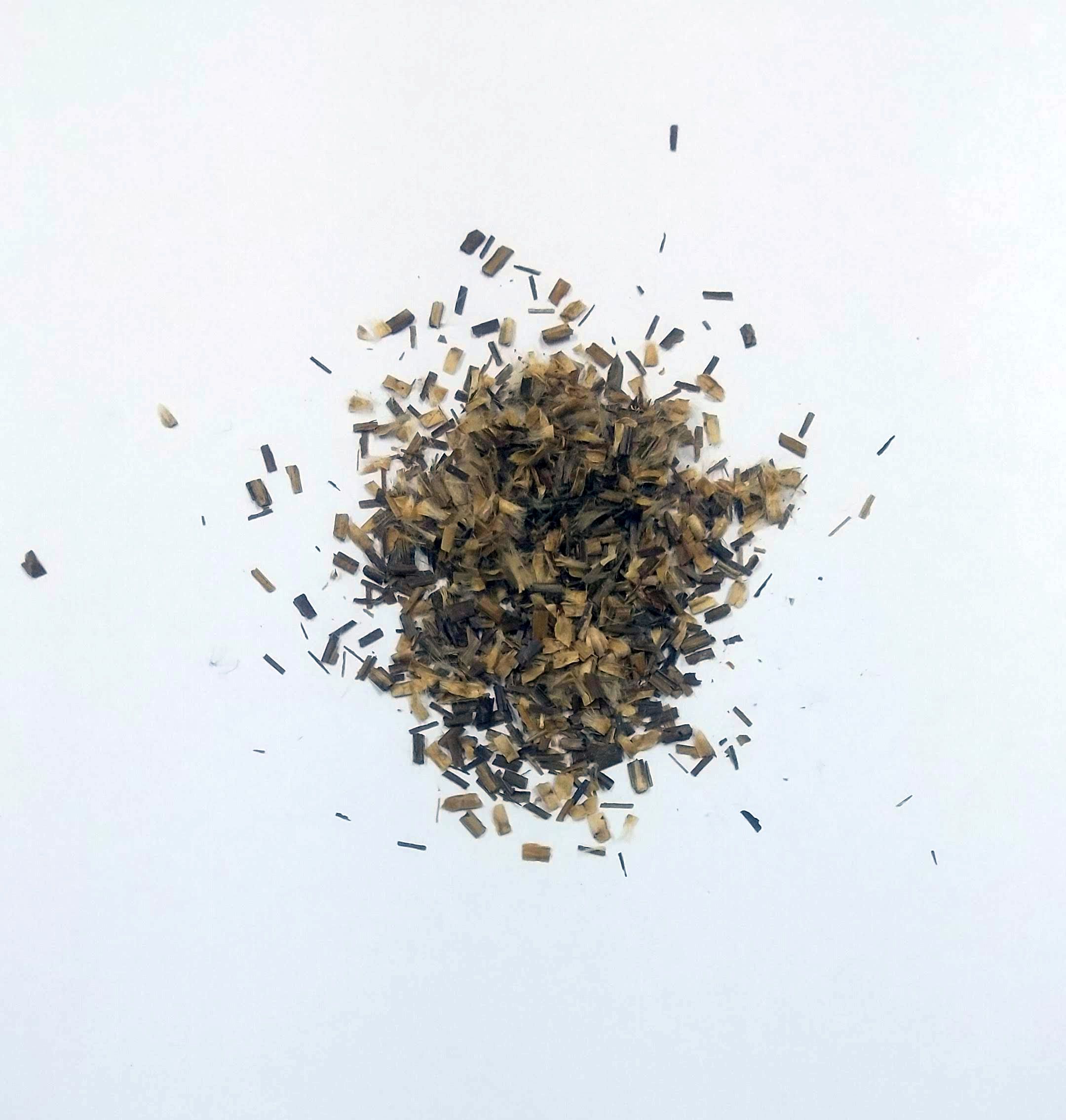 生薬キササゲ/Catalpae Fructus