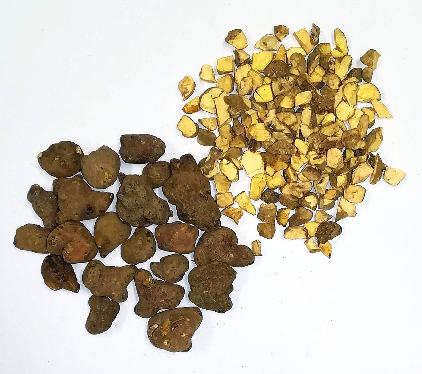 生薬エンゴサク/Corydalis Tuber