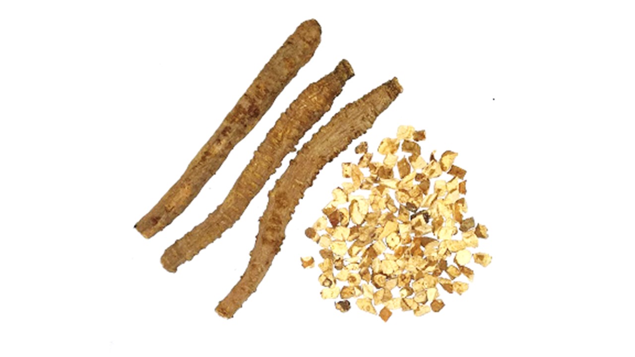 生薬ハマボウフウGlehniae Radix Cum Rhizoma