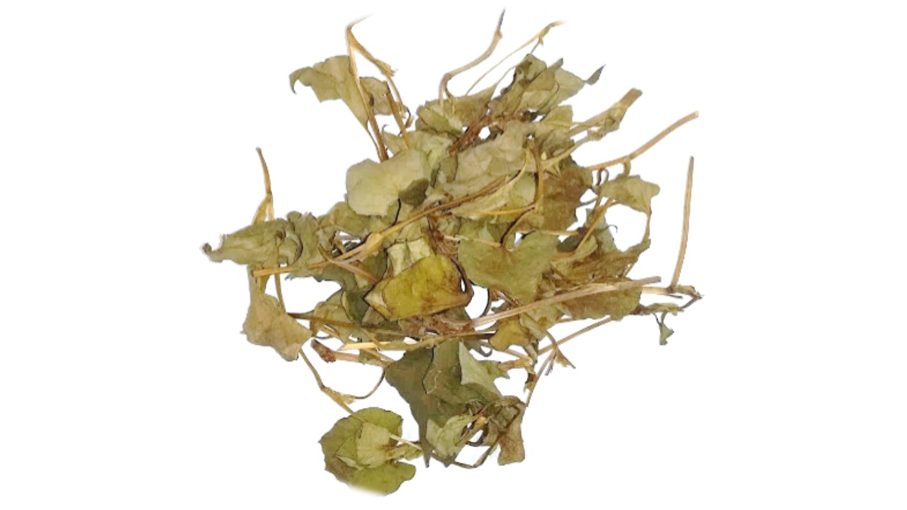 生薬ジュウヤク HOUTTUYNIAE HERBA