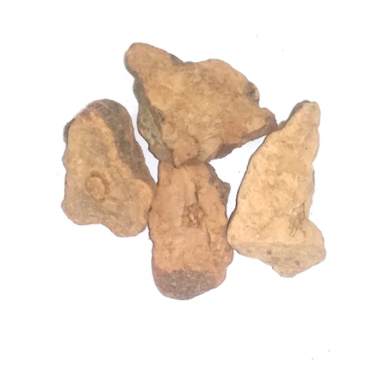 生薬カシュウ/Polygoni Multiflori Radix