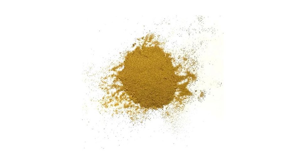 ホオウ Typha latifolia pollen