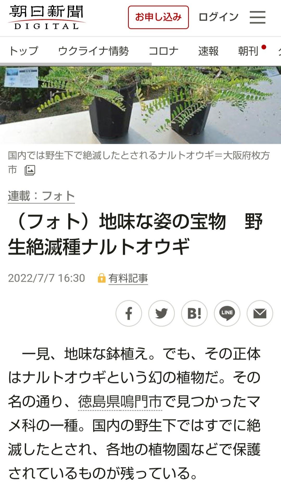 プレスリリース