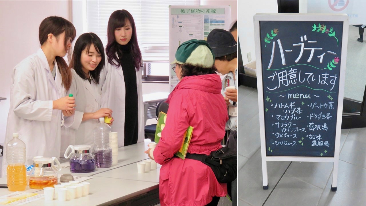 秋の薬草見学会2019