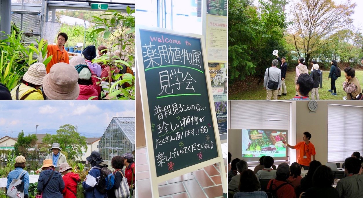 秋の薬草見学会2019