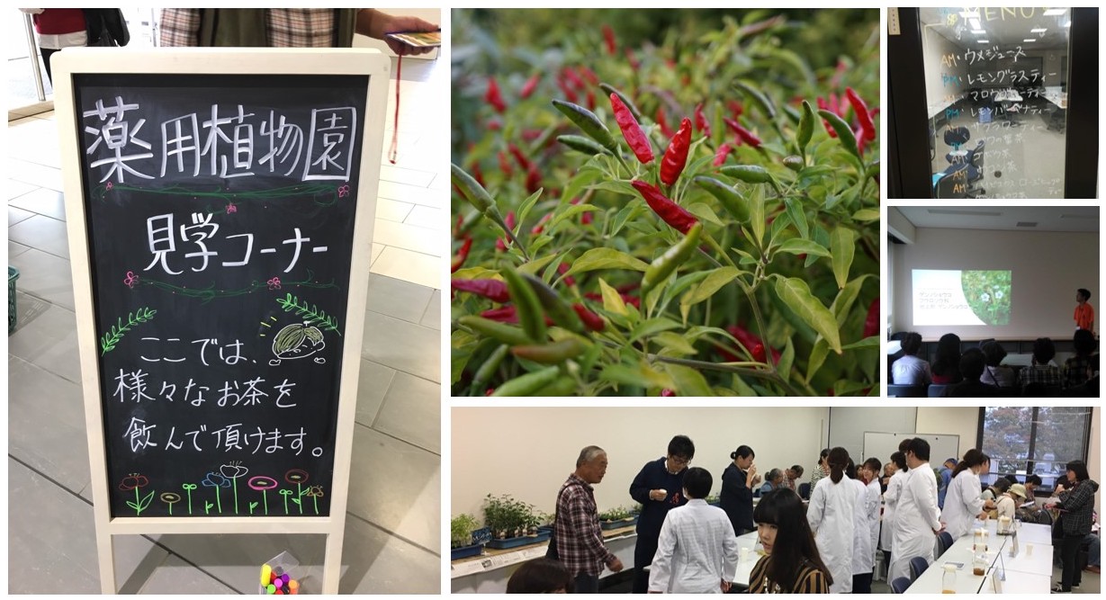 秋の薬草見学会2019