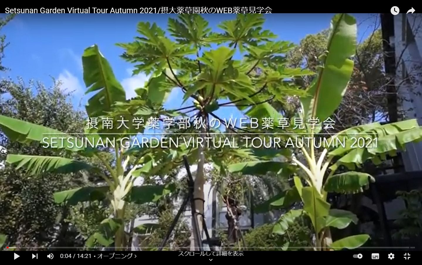 2021年度秋の薬草見学会