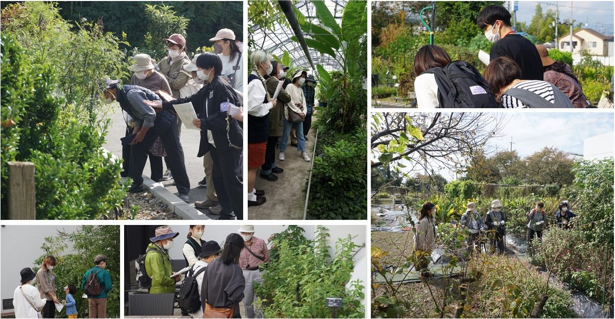 秋の薬草見学会2022