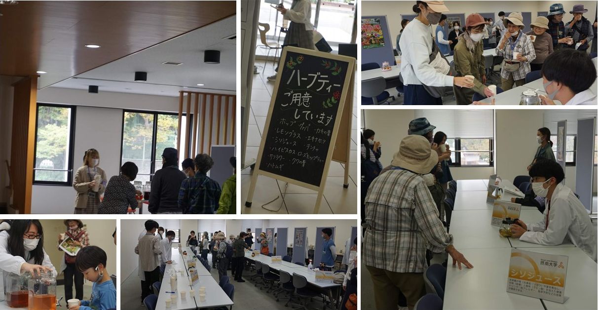 秋の薬草見学会2022