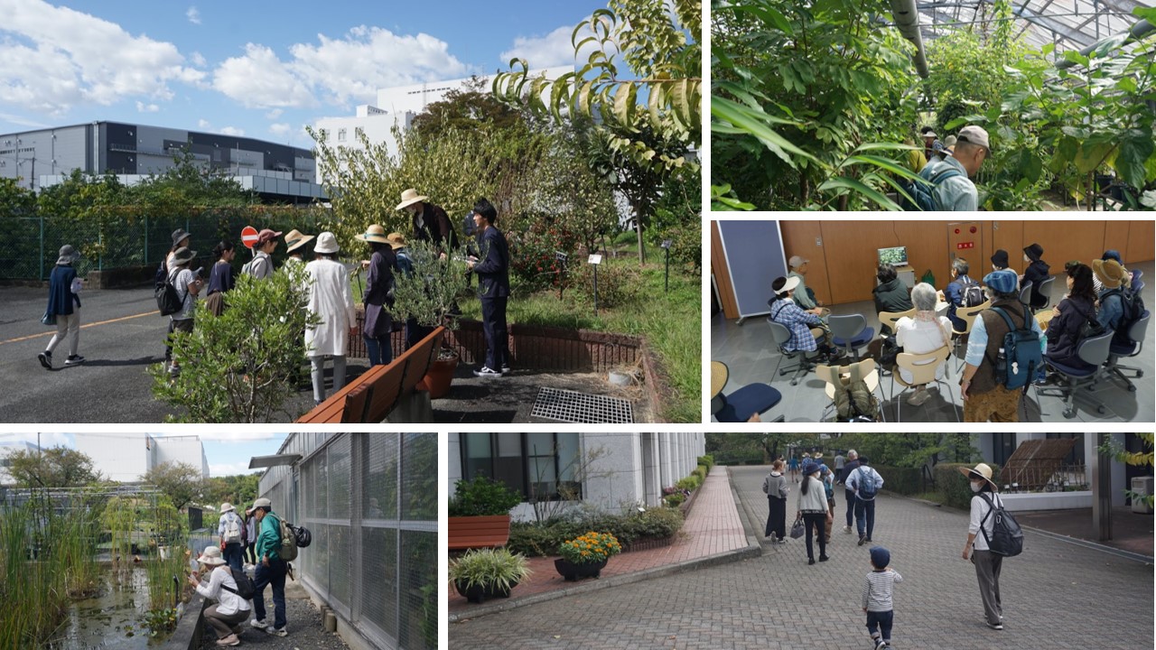 秋の薬草見学会2023