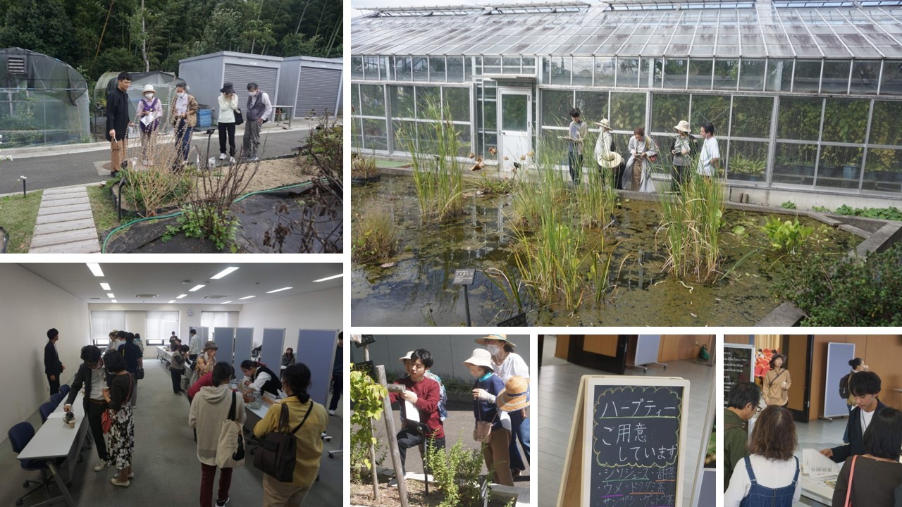 秋の薬草見学会2023