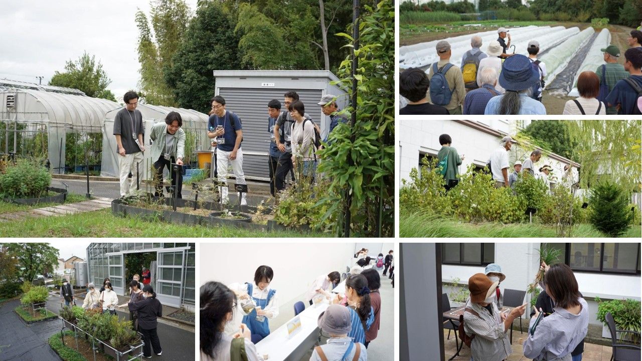 秋の薬草見学会2024