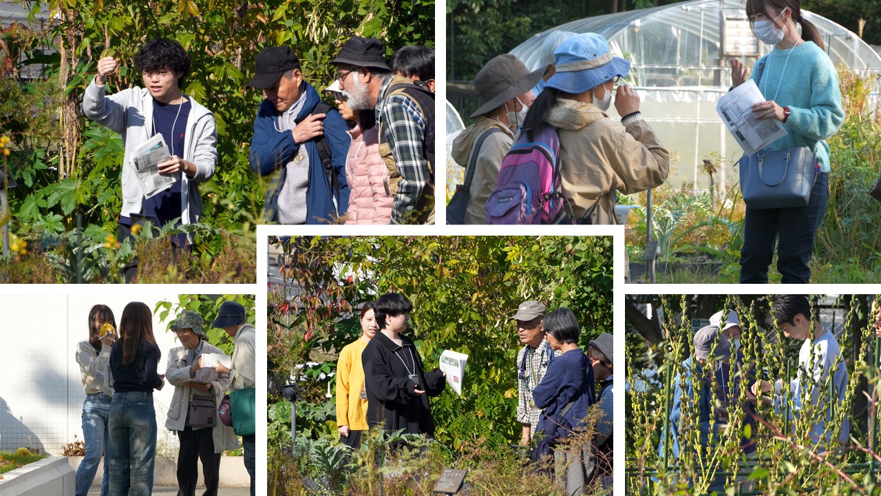 秋の薬草見学会2025