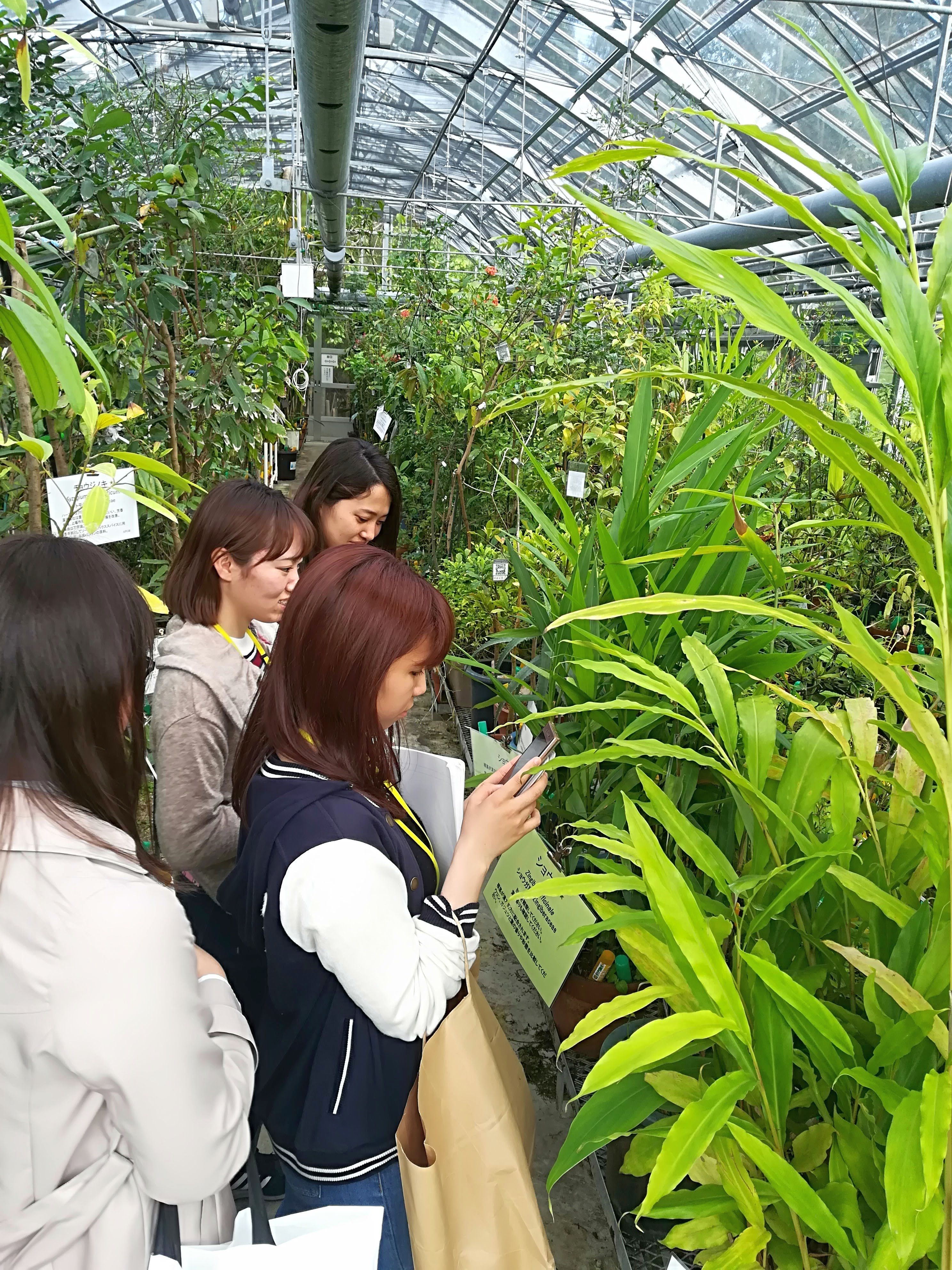 2018学生実習前半