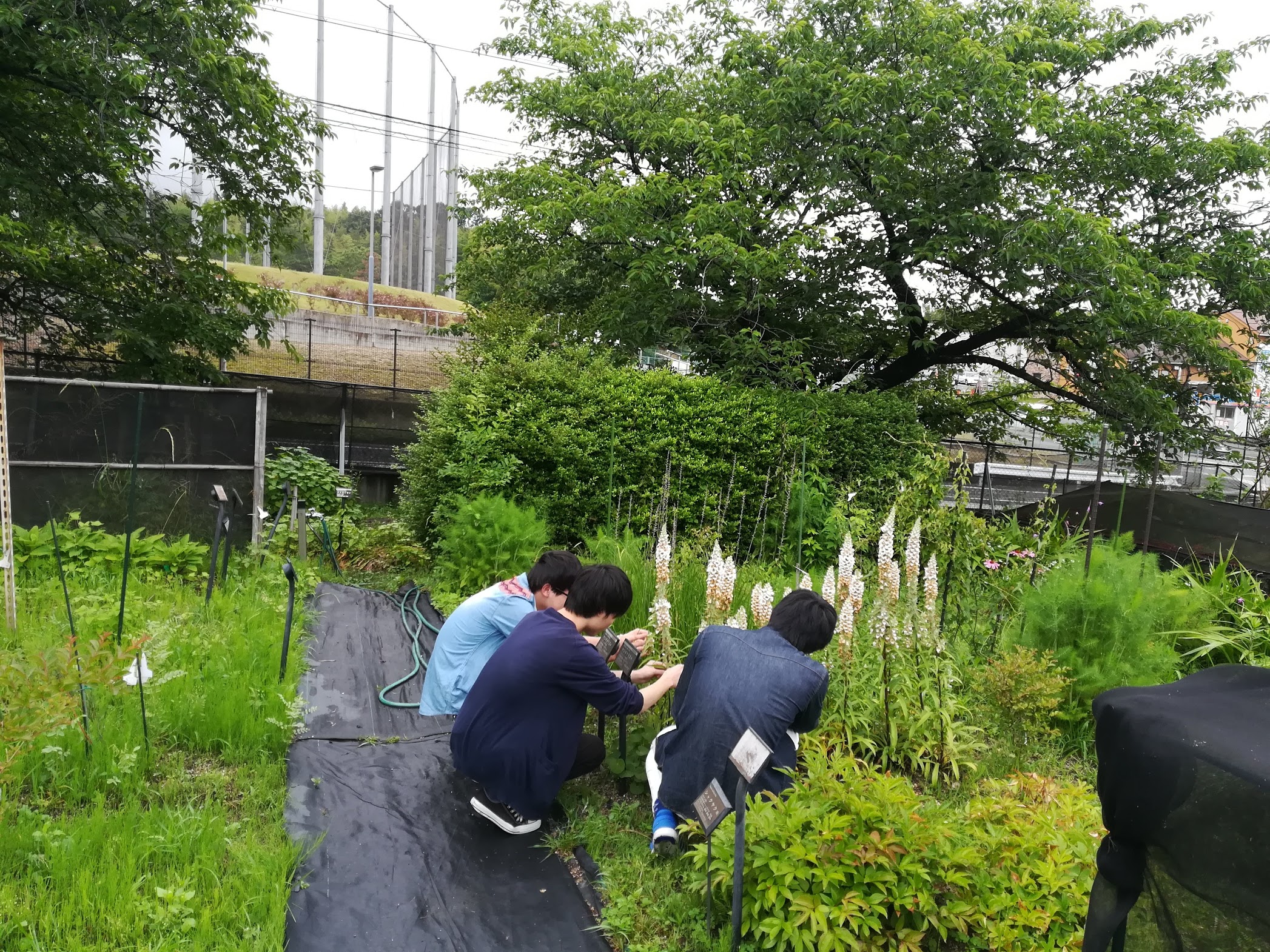 2018学生実習後半