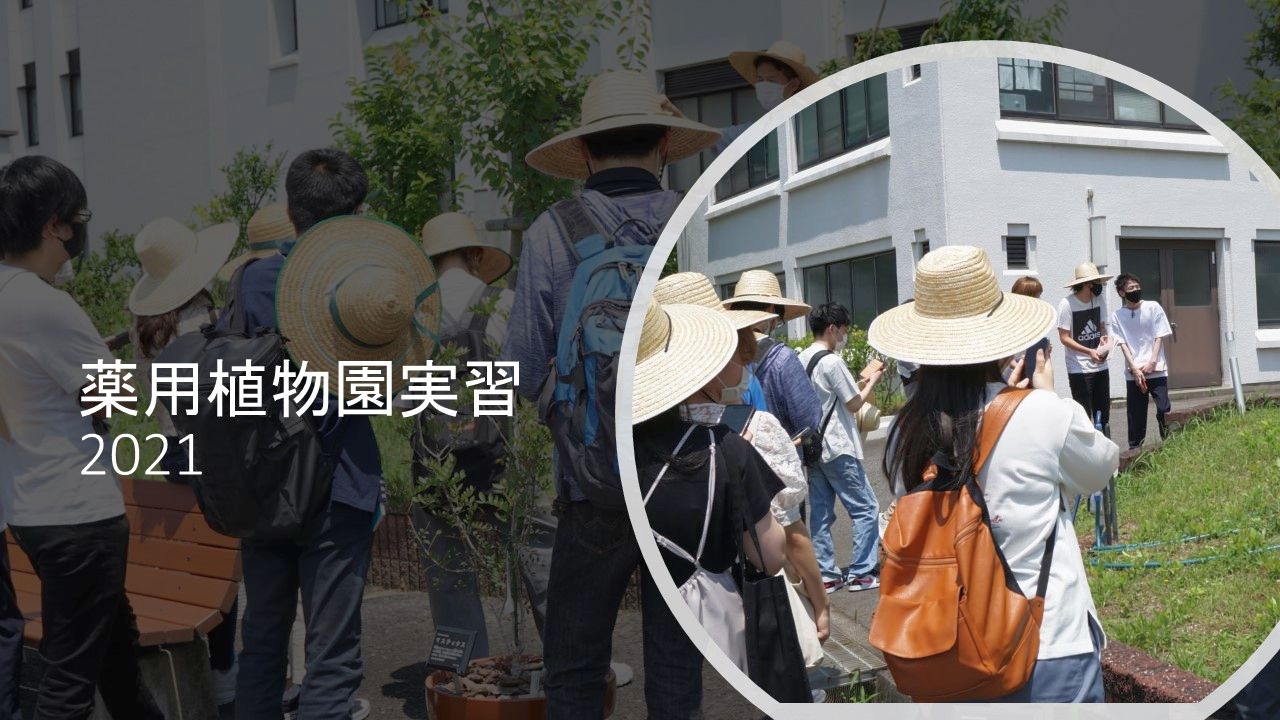 サンプルメージ