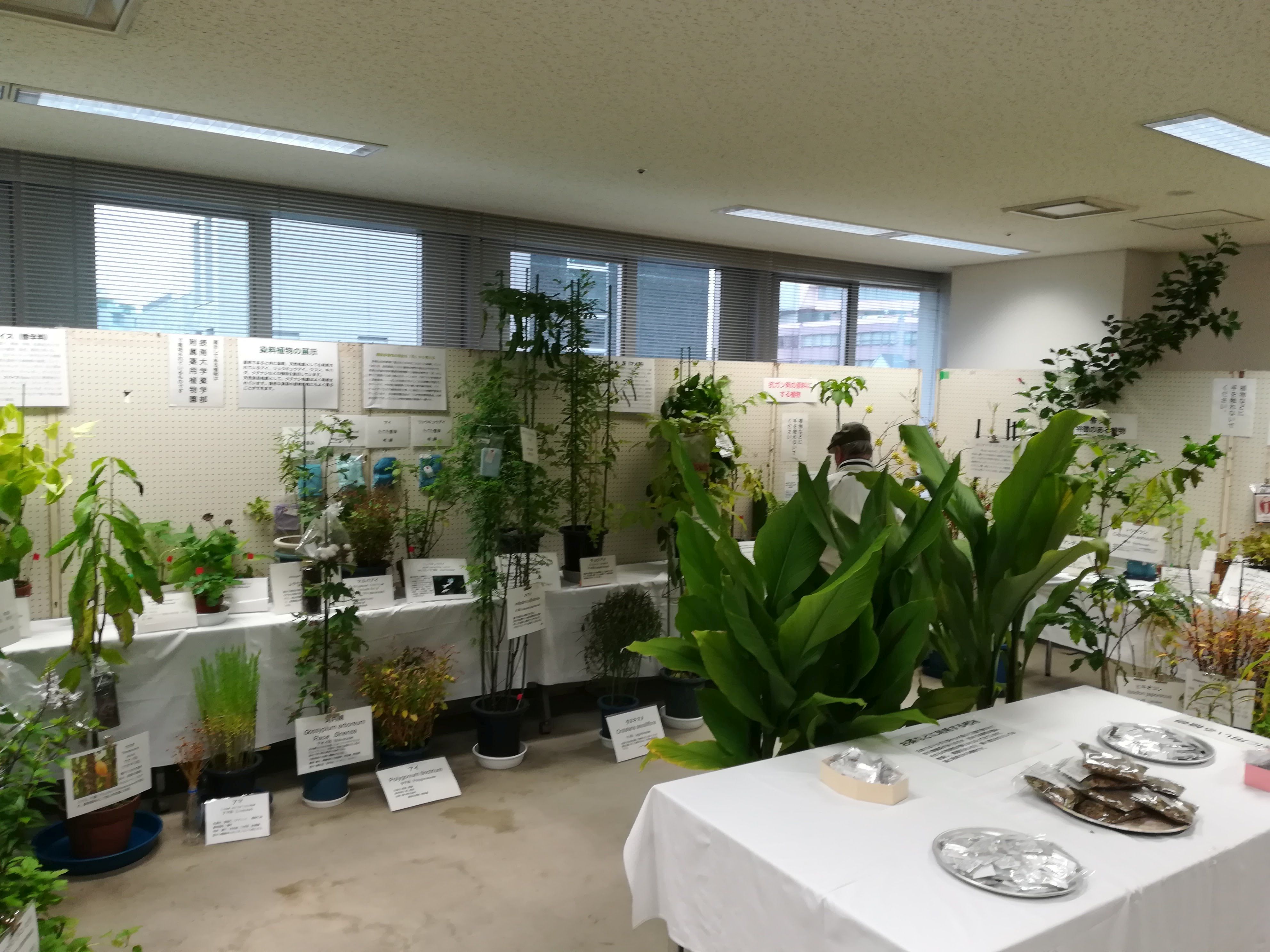 枚方市健康・医療・福祉フェスティバル2017