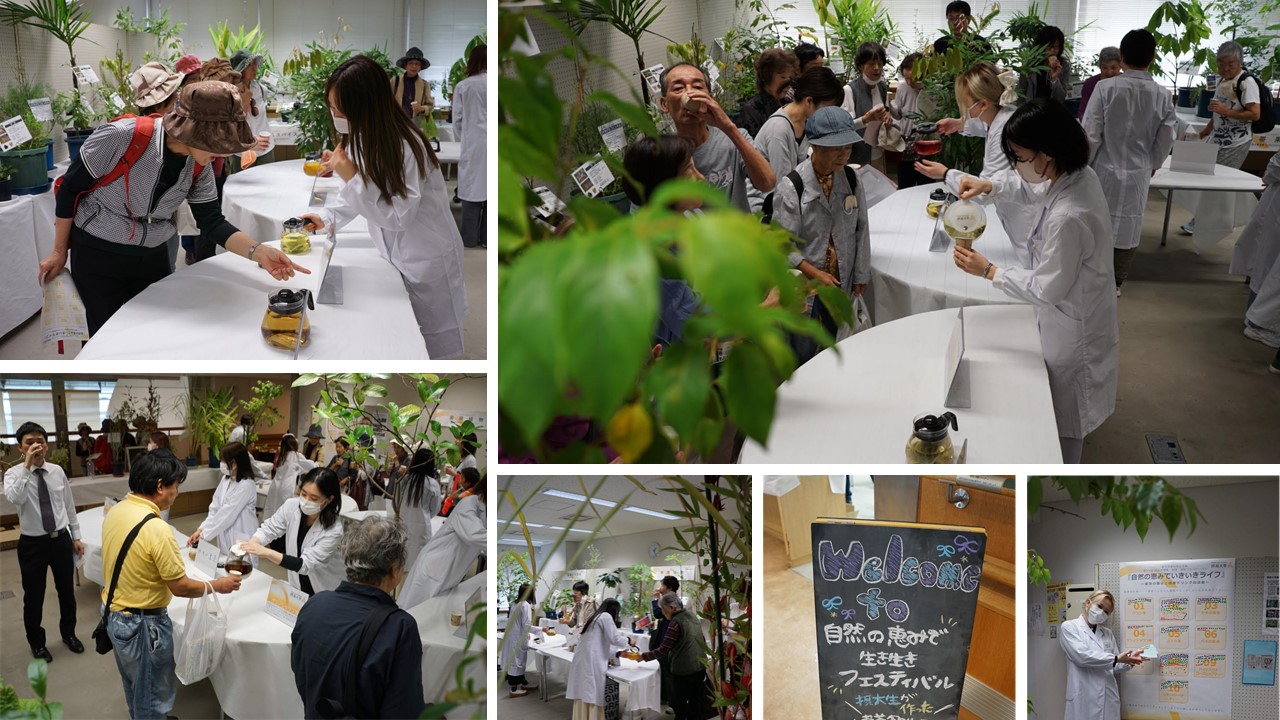 枚方市健康・医療・福祉フェスティバル2024