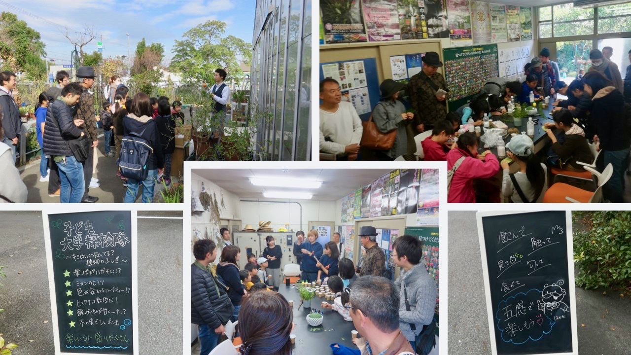 キミはいくつ知ってる？植物の不思議