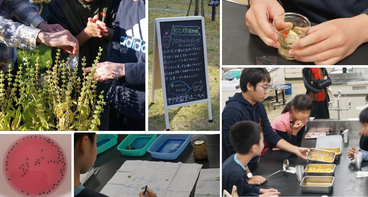 キミはいくつ知ってる？植物の不思議