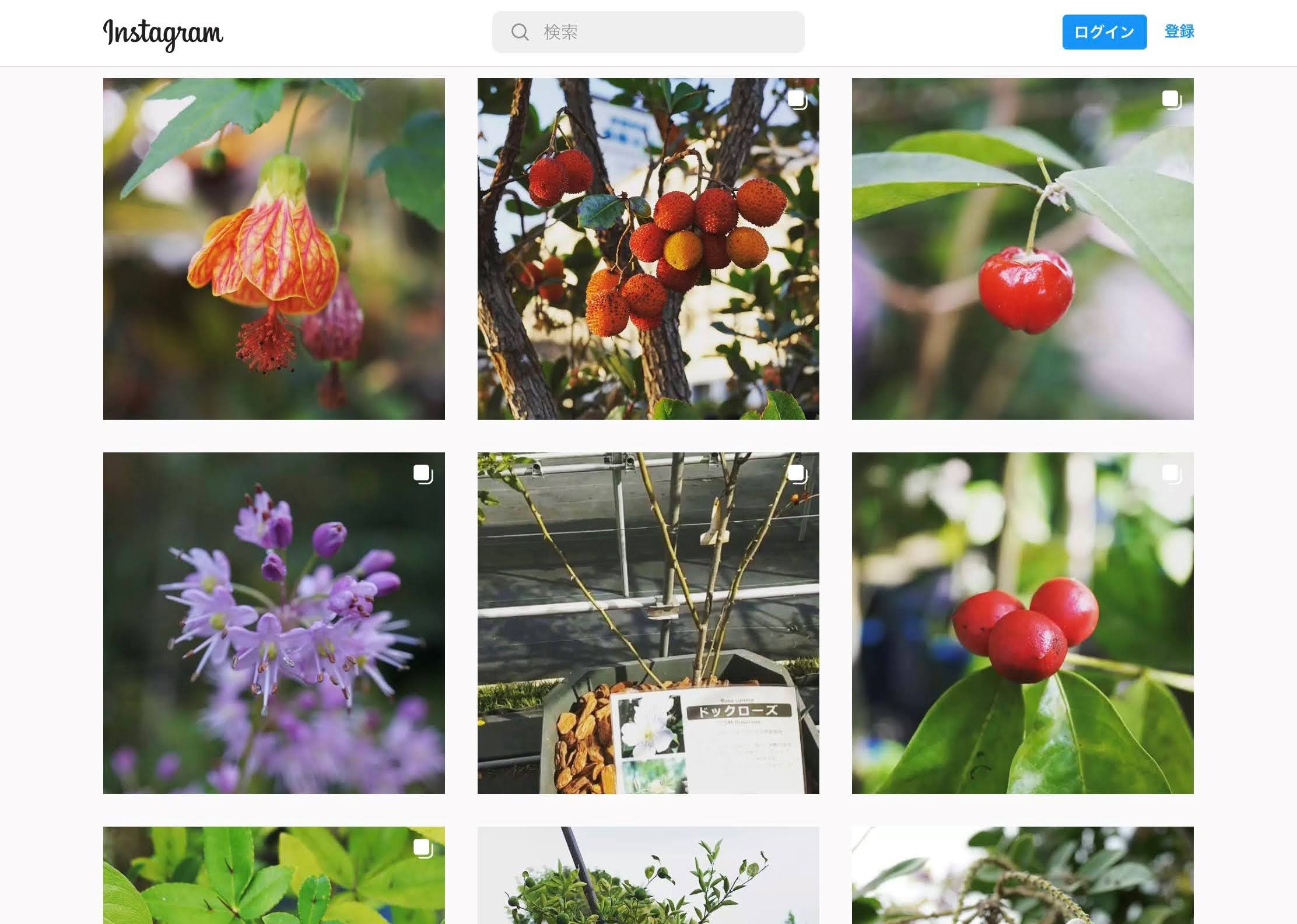 サンプルメージ