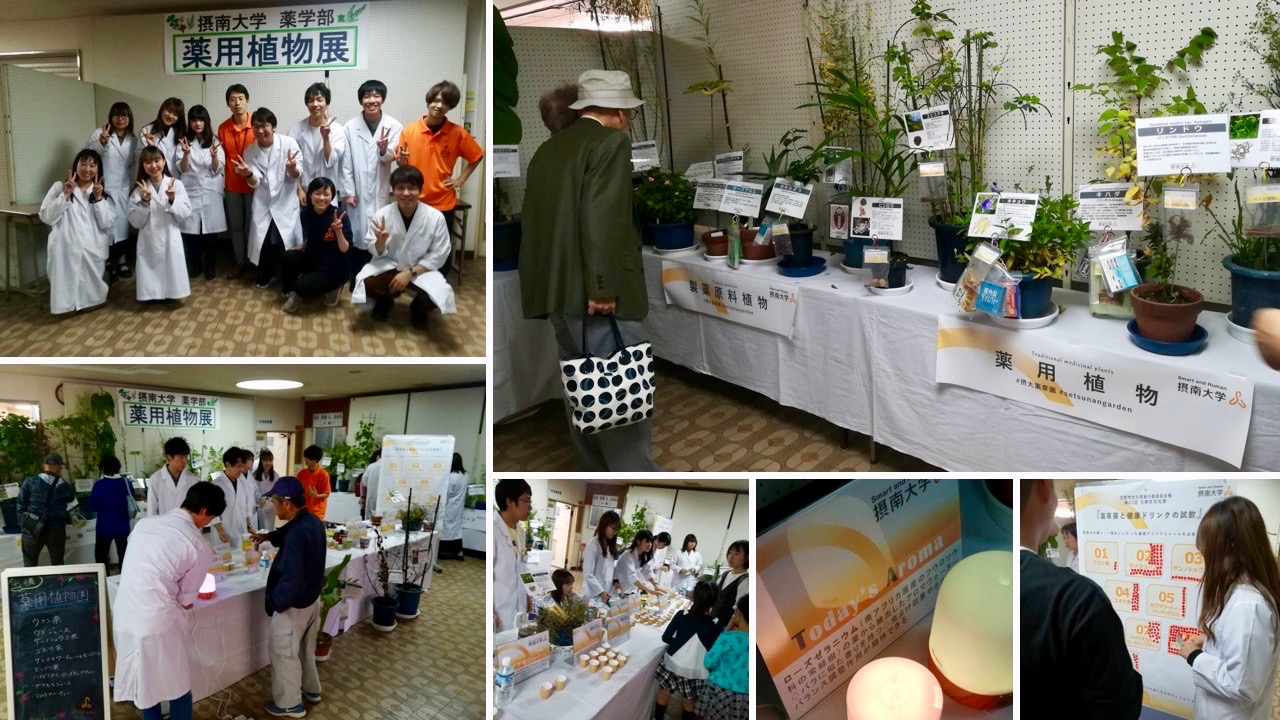 サンプルメージ