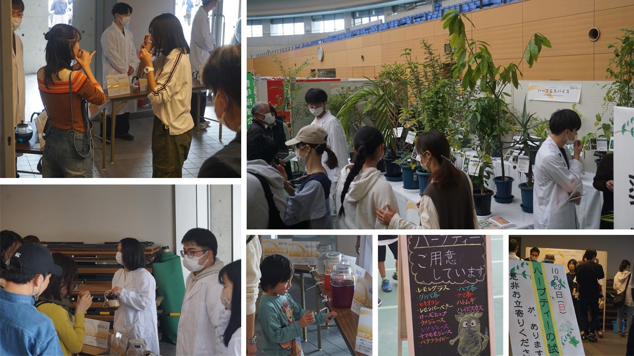 交野市文化祭2023