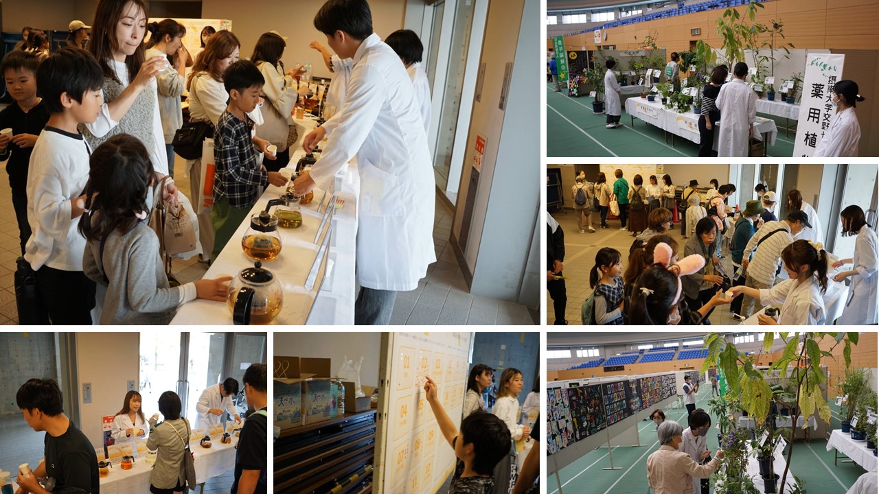 交野市文化祭2024