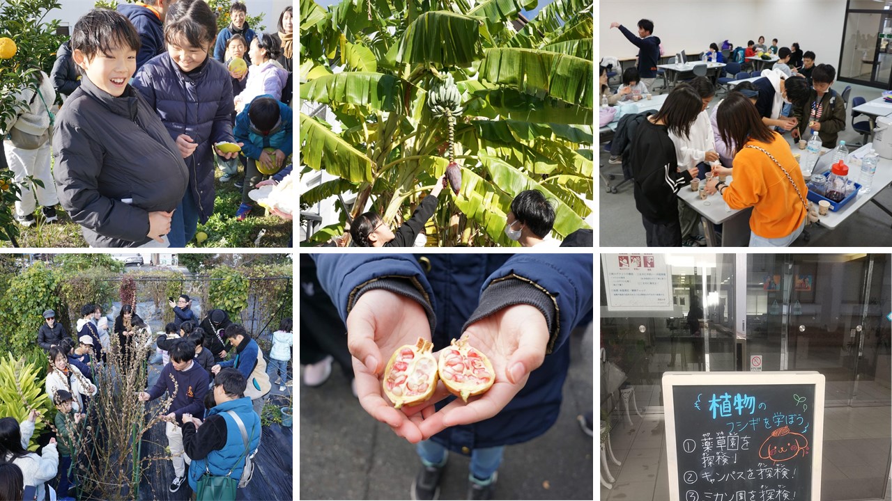 京田辺市子ども植物教室2024