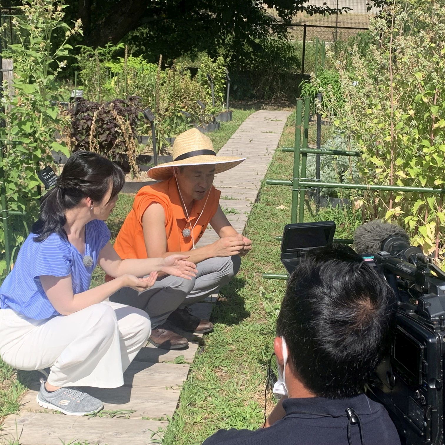 プレスリリース