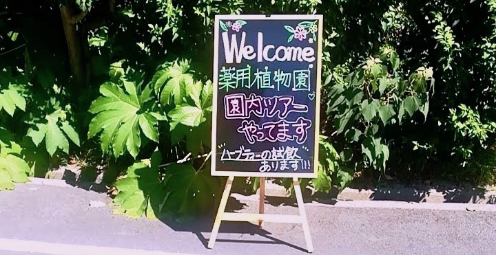 摂南大学オープンキャンパス@枚方8/26