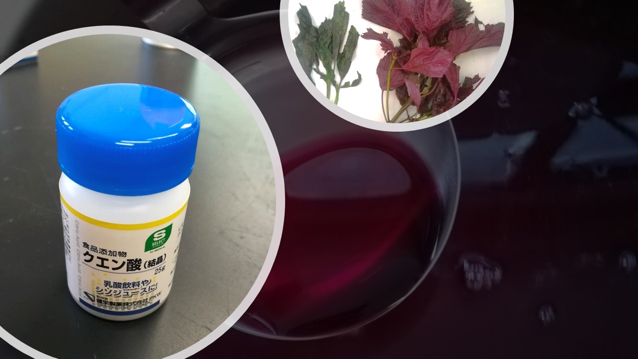 シソジュース Red Perilla juice