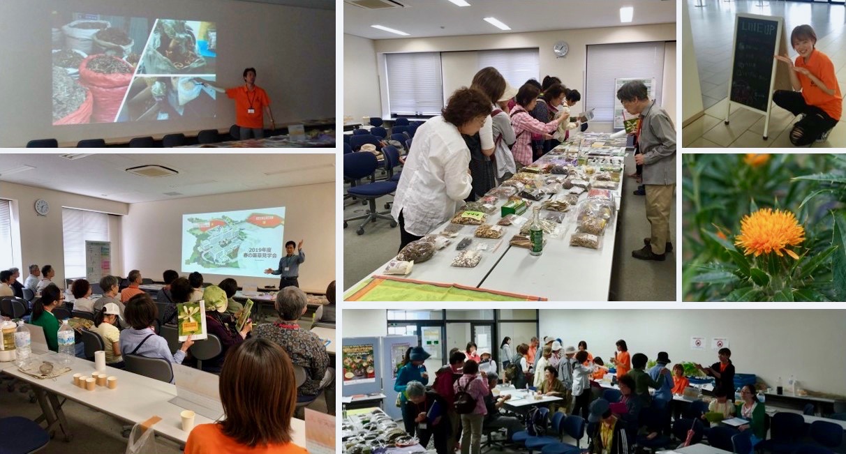 春の薬草見学会2019