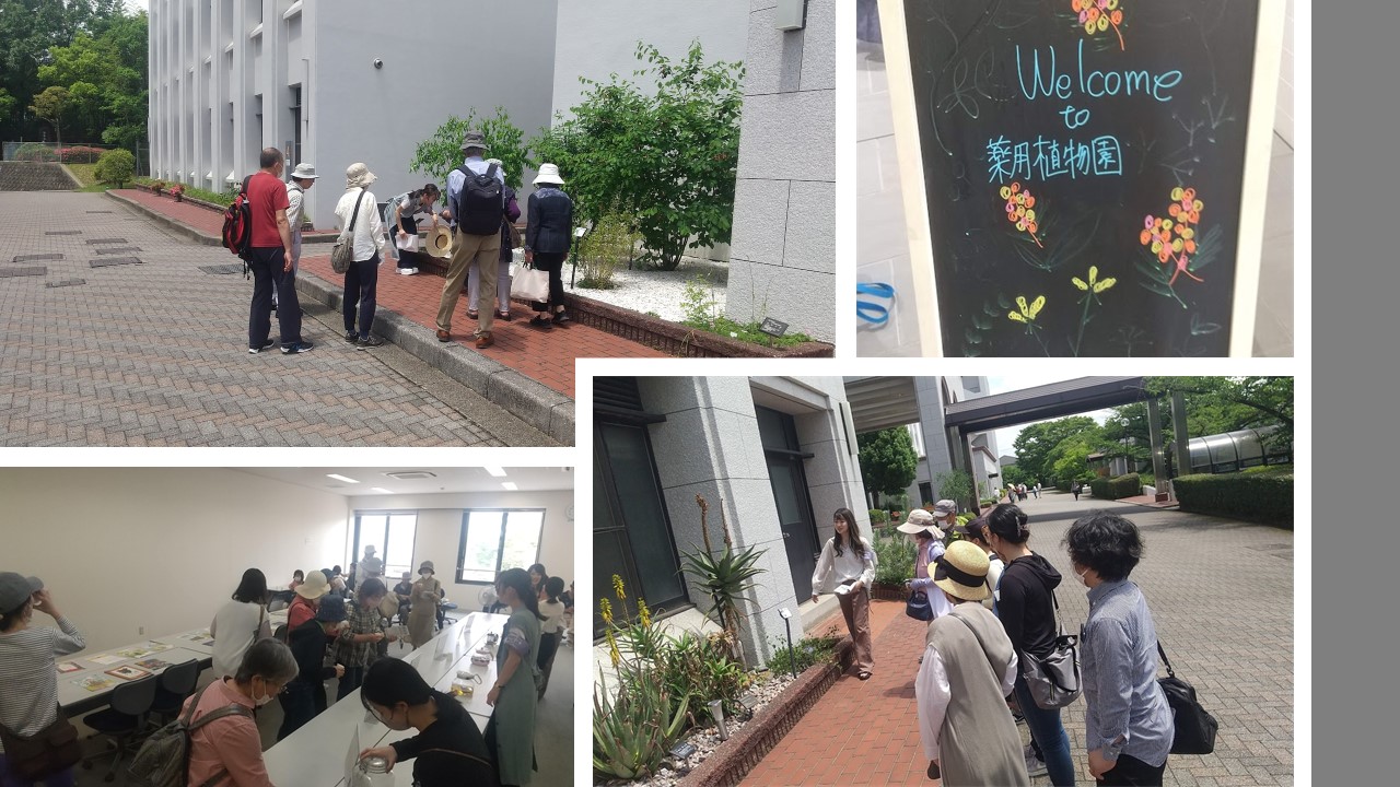 春の薬草見学会2023