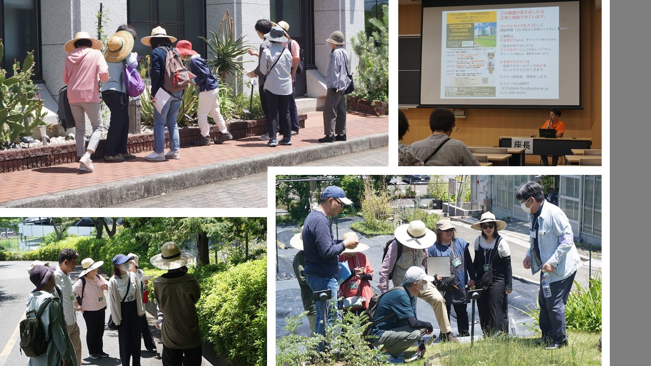 春の薬草見学会2024