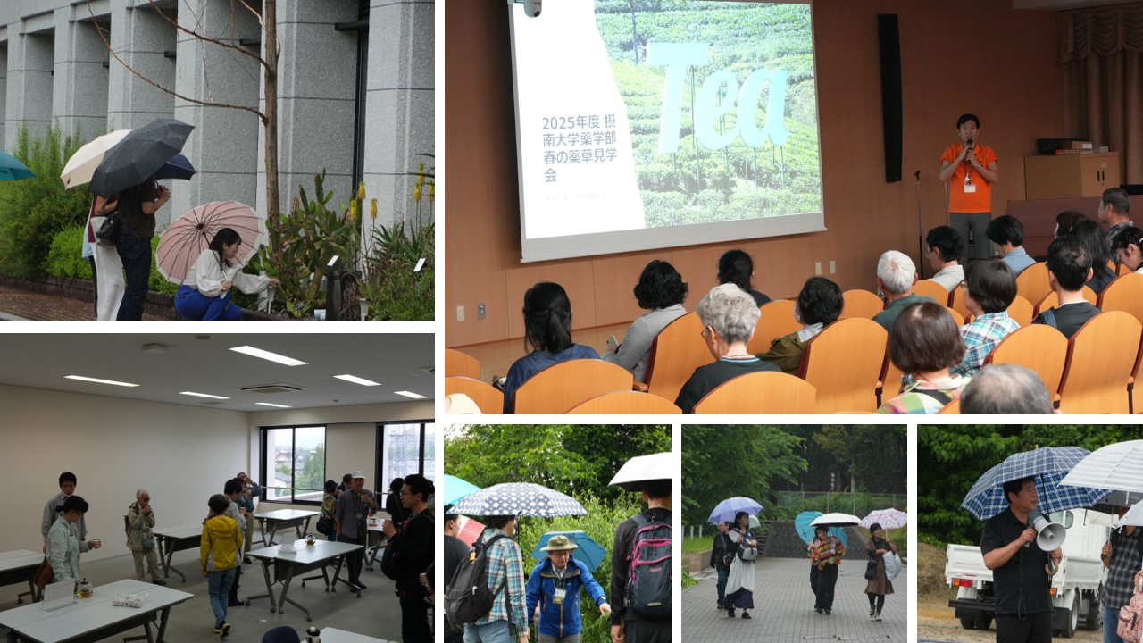 春の薬草見学会2025