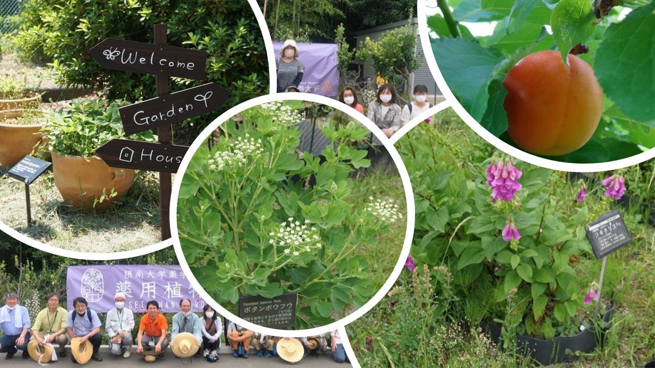 農学部教員向け施設見学会