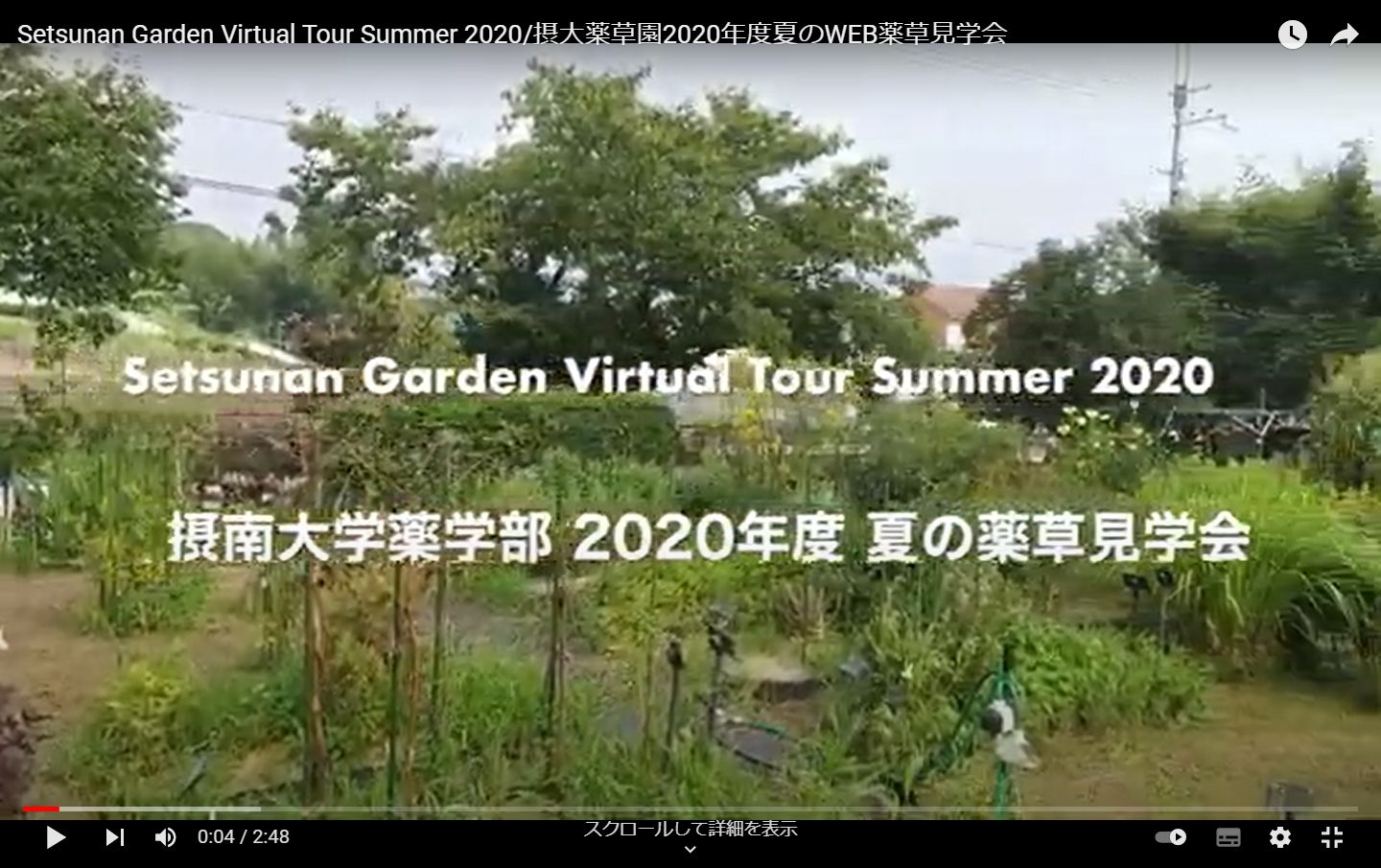 2020年度夏の薬草見学会