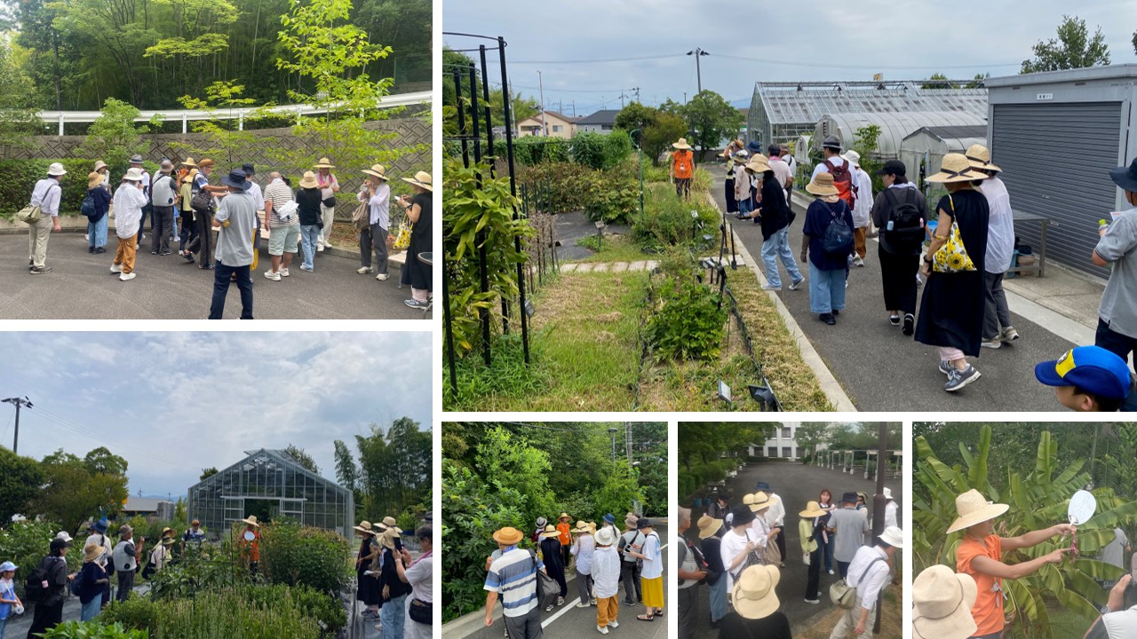 夏の薬草見学会2025