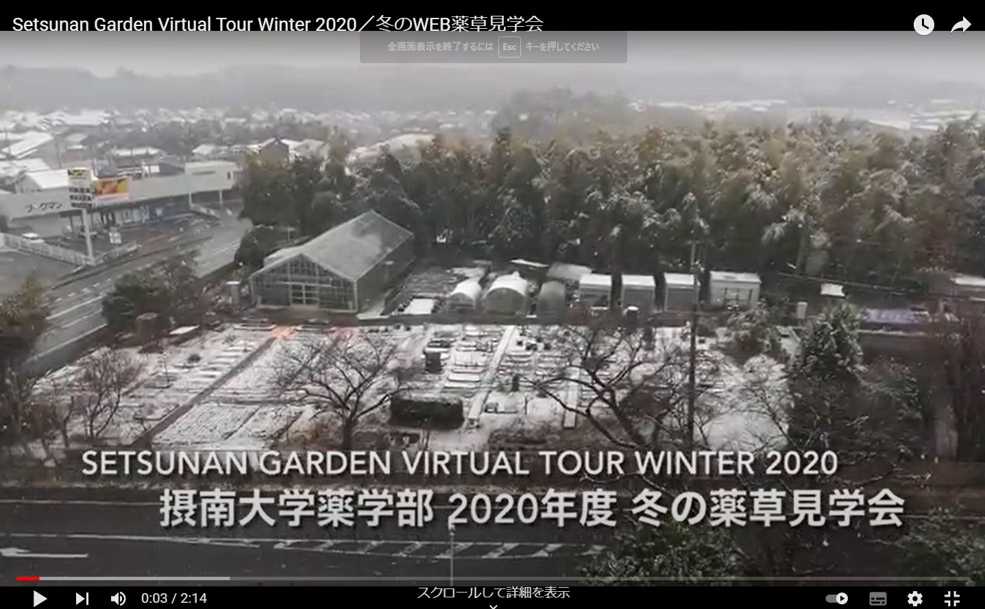 2020年度冬の薬草見学会