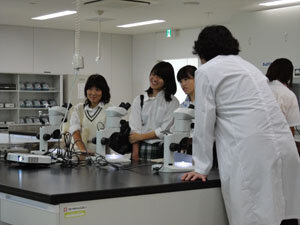 img-20110807-4.jpg