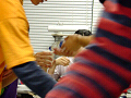 DSCF0207_thumb.png