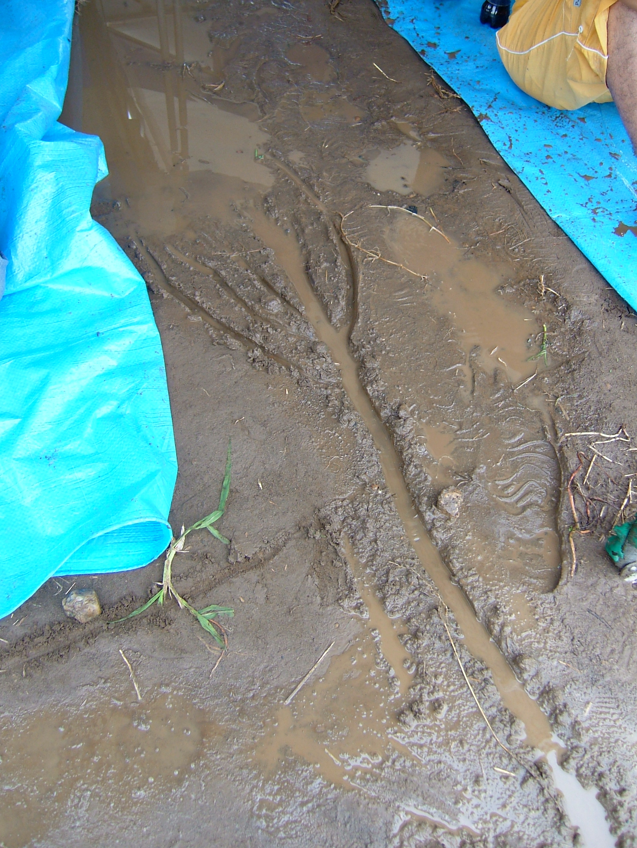 DSCF0809.JPG