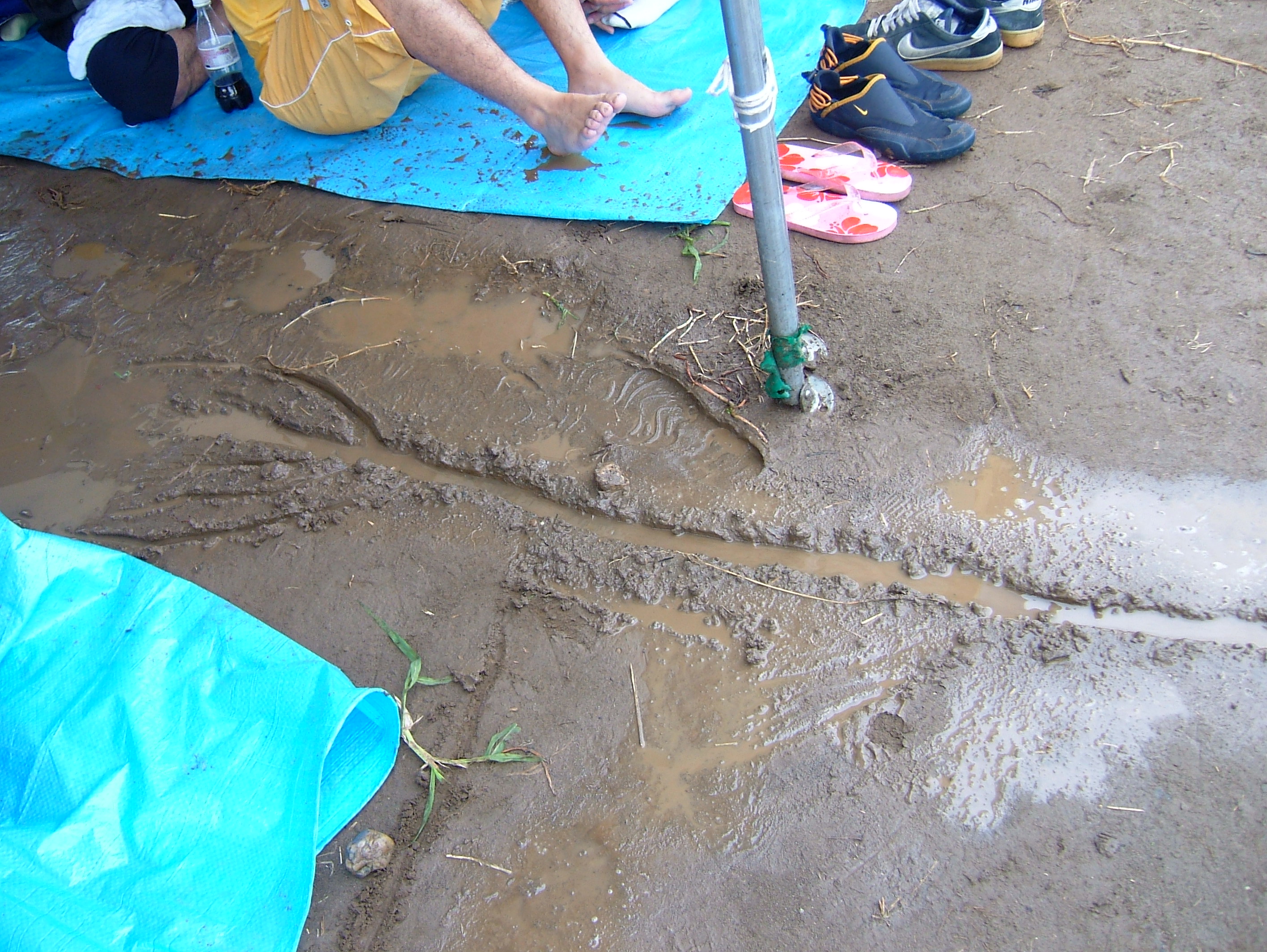 DSCF0810.JPG
