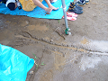 DSCF0810_thumb.png