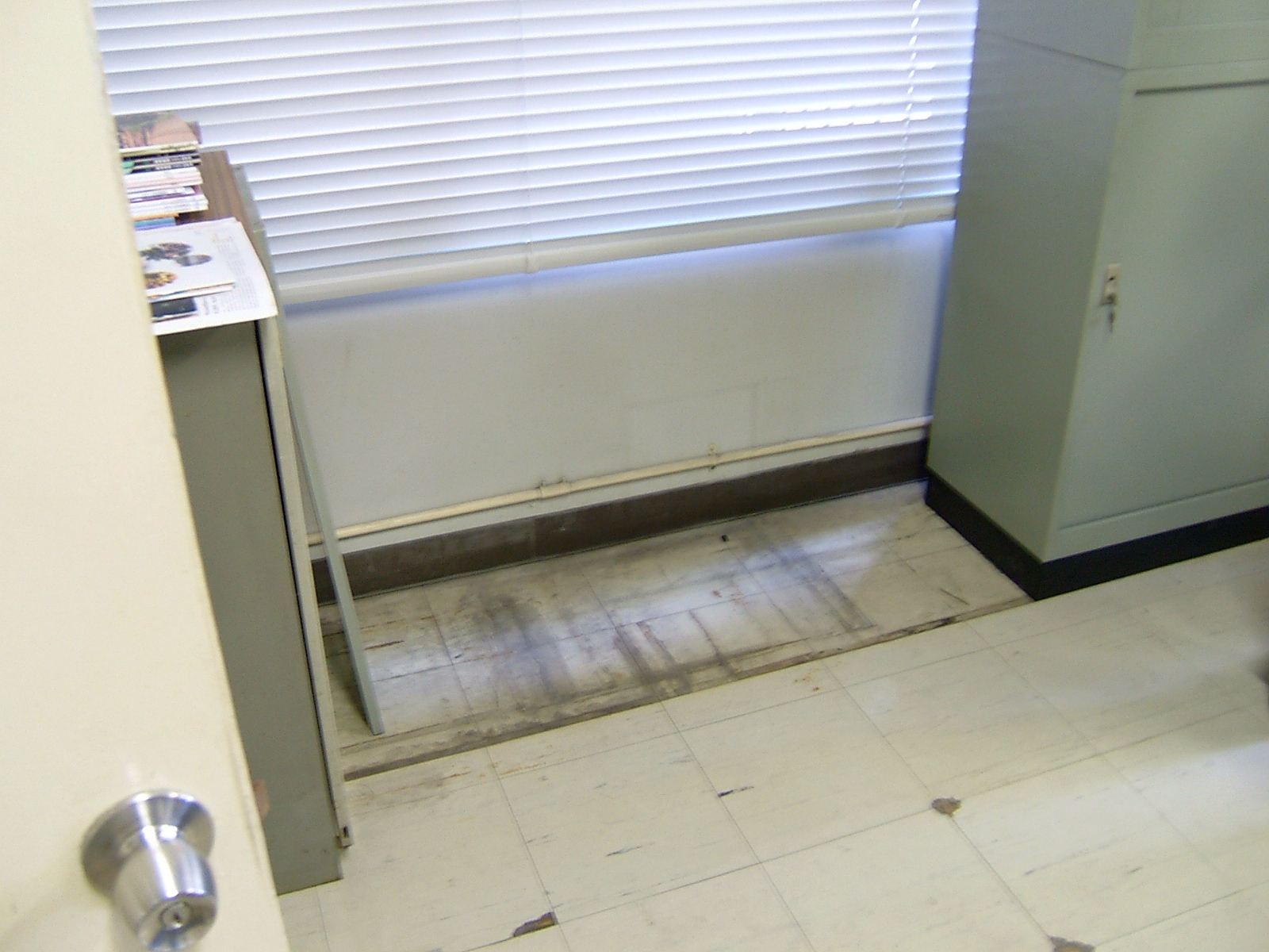 DSCF2540.JPG