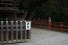 IMG_1210_thumb.png