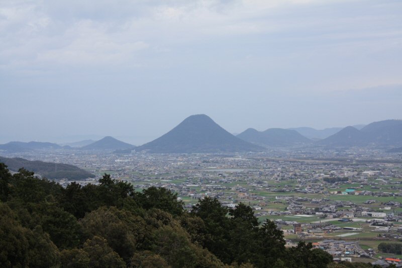 IMG_1212.jpg