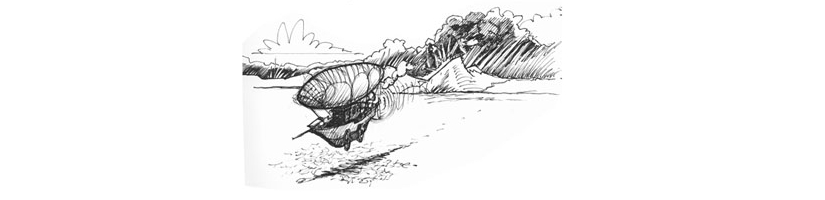 air_ship.jpg